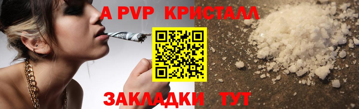 Альфа ПВП СК КРИС Волхов
