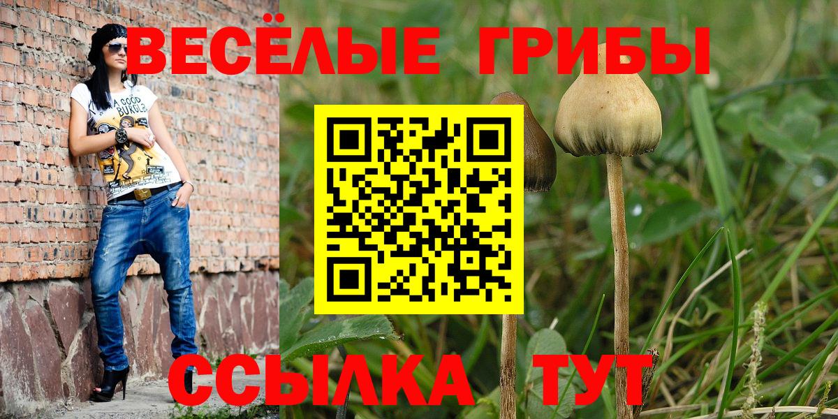 Псилоцибиновые грибы Psilocybine cubensis  Галлюциногенные грибы прущие грибы  Вход с VPN  Волхов 